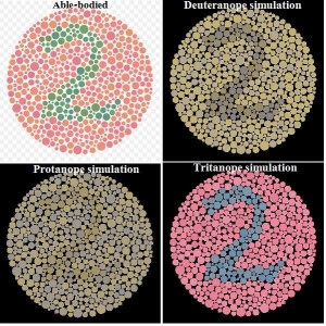 Color Blindness Check